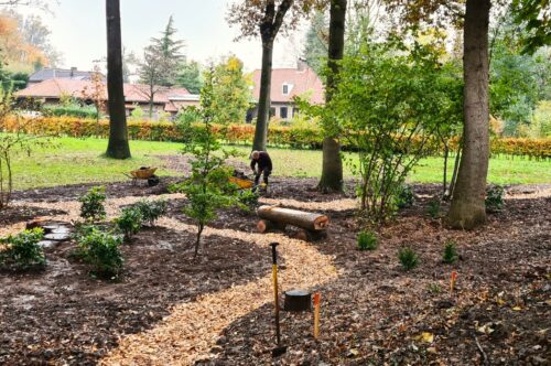 Reggeland Groen - voorbeeld tuin 5